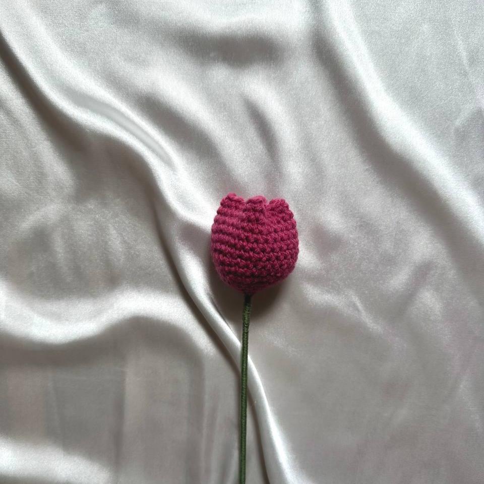 Tulip