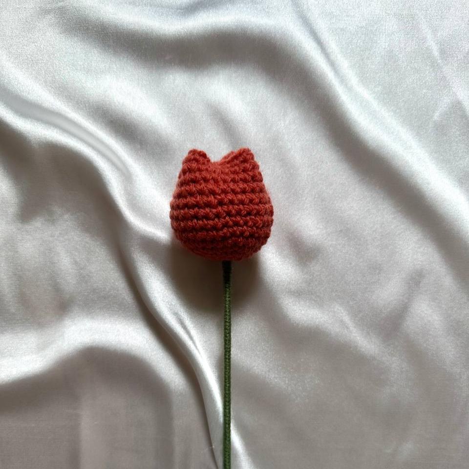 Tulip