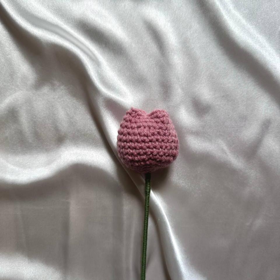 Tulip