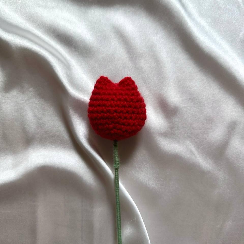 Tulip