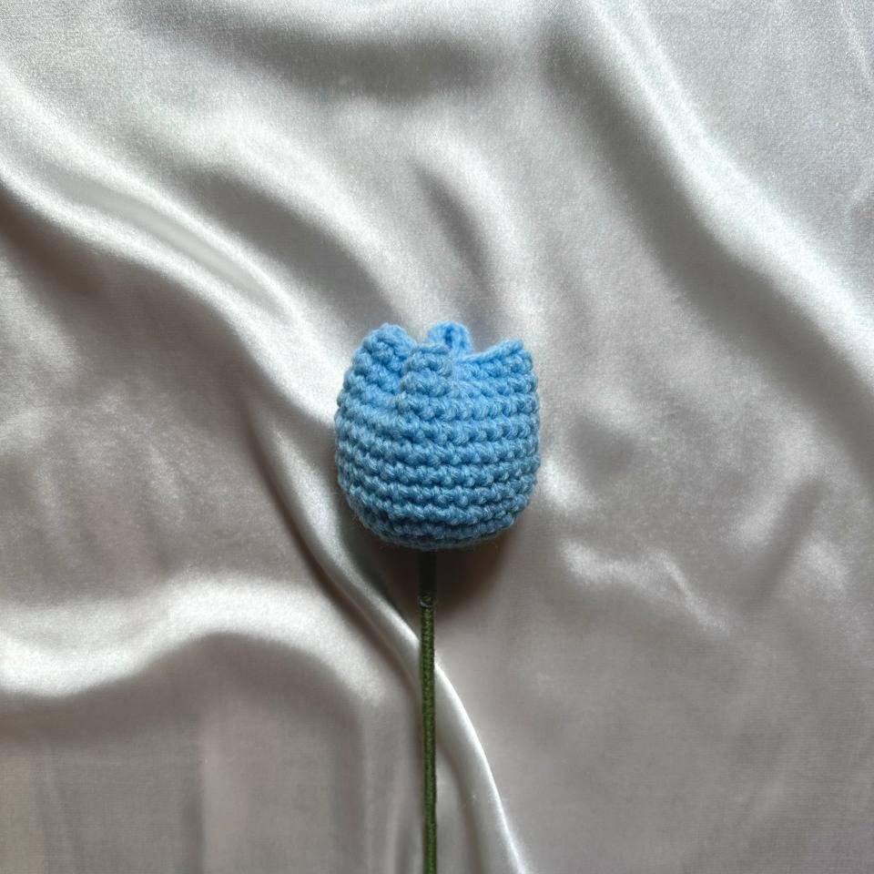 Tulip