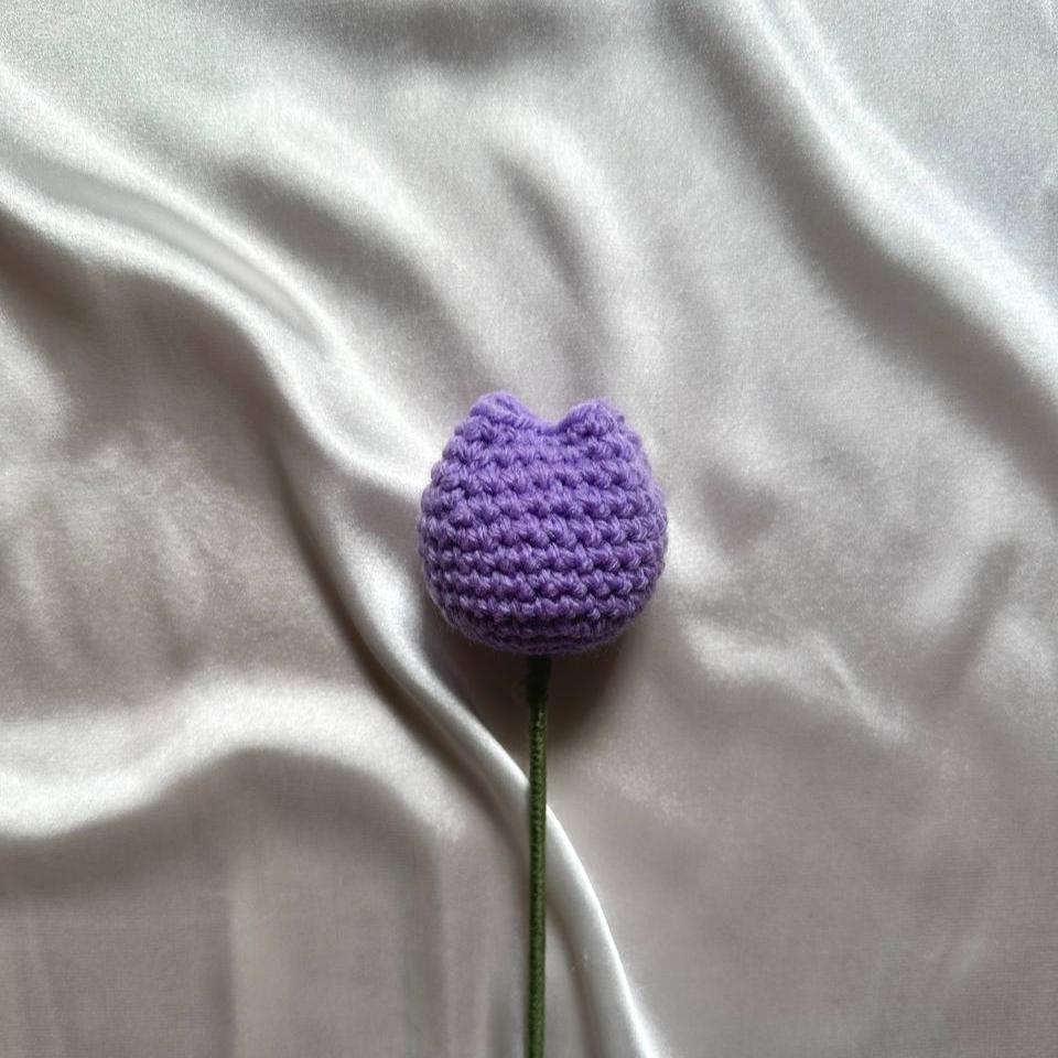 Tulip