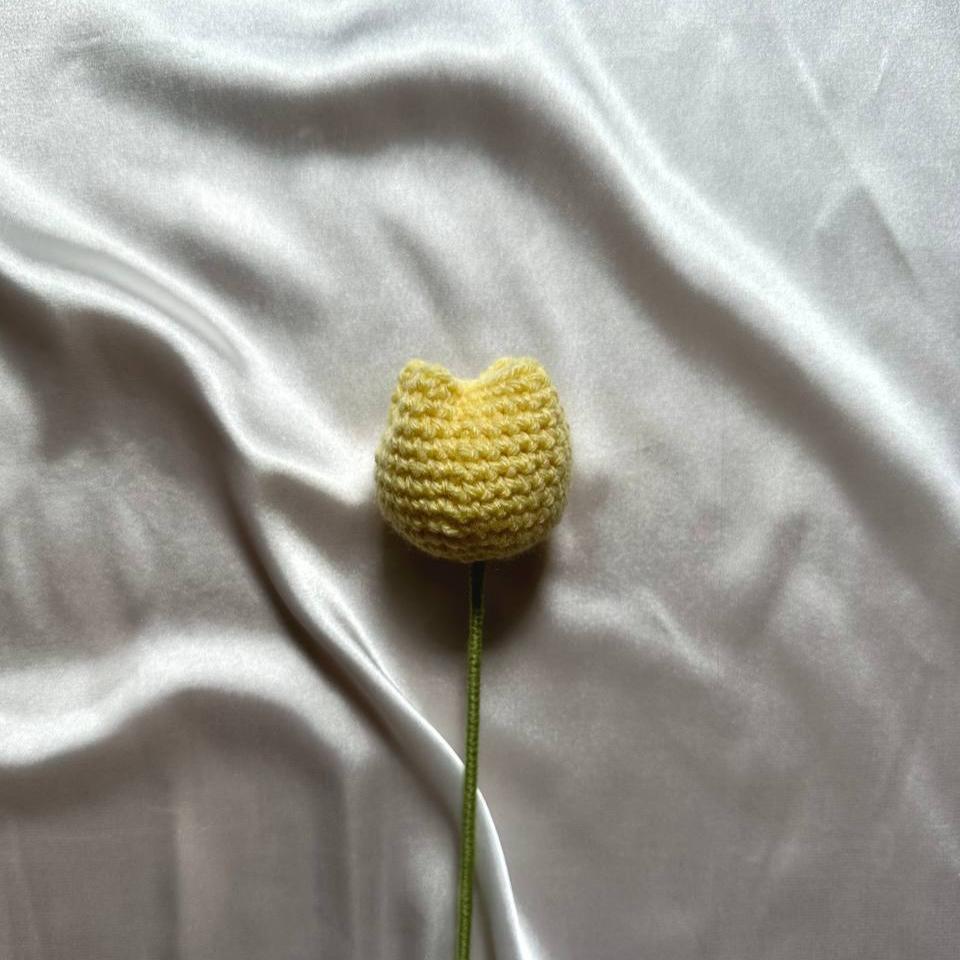 Tulip