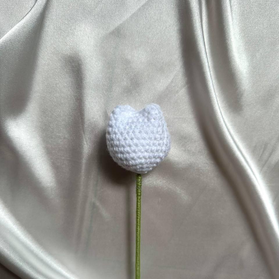 Tulip