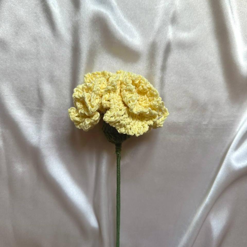 Carnation