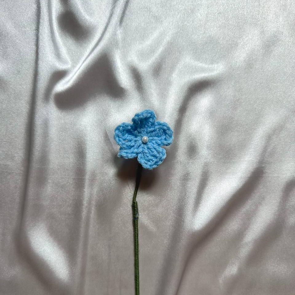 Forget-Me-Not